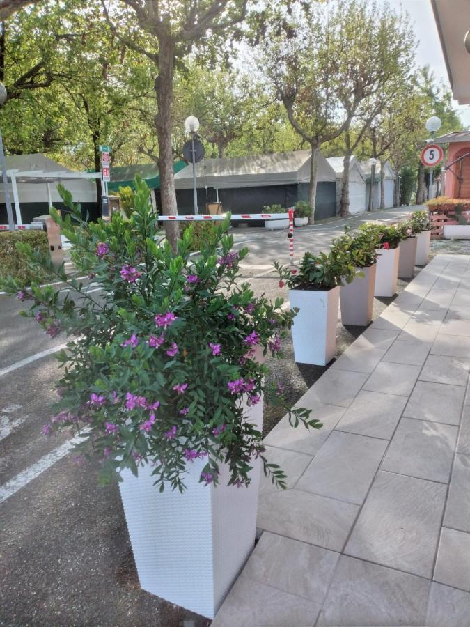 Camping Calatella Parco Di Vacanza Marina di Massa Bagian luar foto